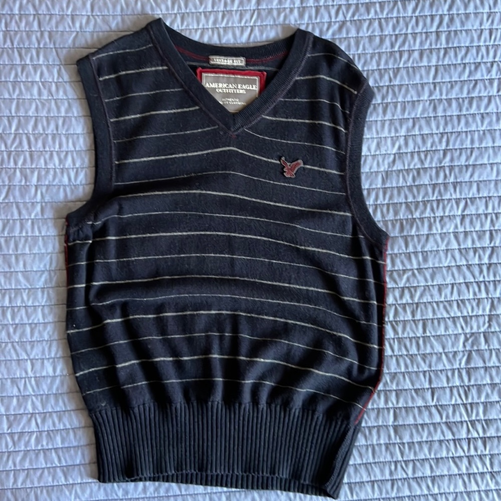 American Eagle Outfitters Sweater Vest